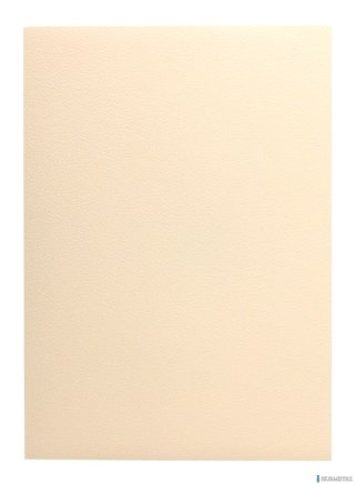 Karton wizytówkowy A4 W19 tłoczony (20 arkuszy) 246g KRESKA