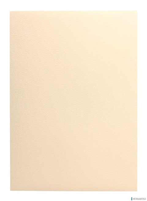 Karton wizytówkowy A4 W19 tłoczony (20 arkuszy) 246g KRESKA Karton wizytówkowy A4 W19 tłoczony (20 arkuszy) 246g KRESKA