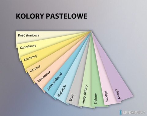 Papier xero A4 80g beżowy xem408098 EMERSON Papier xero A4 80g beżowy xem408098 EMERSON