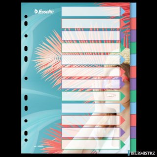 Przekładki ColourBreeze PP A4, 12 przekładek Esselte 628501