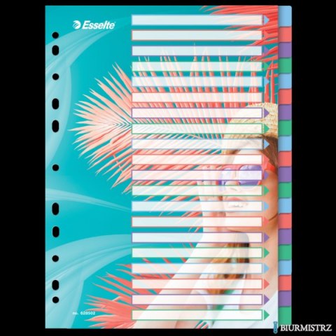 Przekładki ColourBreeze PP A4, 20 przekładek Esselte 628502 Przekładki ColourBreeze PP A4, 20 przekładek Esselte 628502