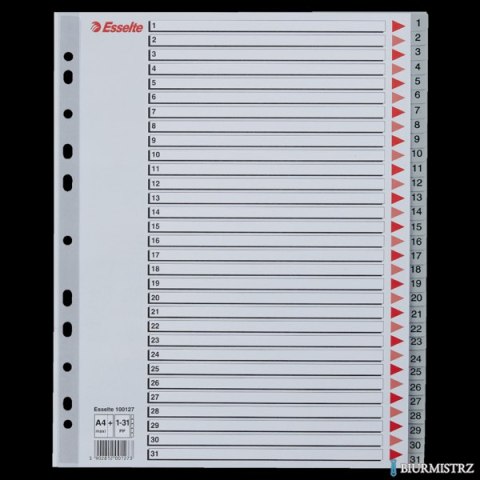Przekładki plastikowe szare PP alfabetyczne A4 Esselte, 1-31 maxi, , 100127 Przekładki plastikowe szare PP alfabetyczne A4 Esselte, 1-31 maxi, , 100127