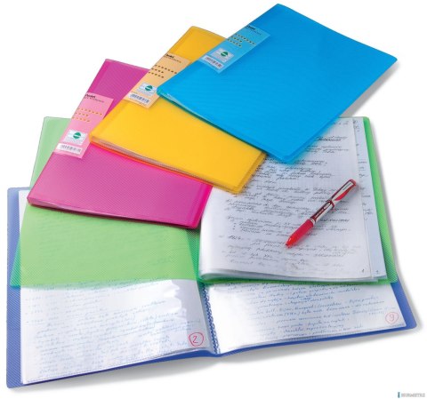 Album ofertowy VIVID, 30 kieszeni zielony DCF343-D PENTEL Album ofertowy VIVID, 30 kieszeni zielony DCF343-D PENTEL
