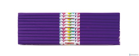 Bibuła marszczona 50x200cm, jagodowa, 10 szt., HAPPY COLOR, HA 5020-63 Bibuła marszczona 50x200cm, jagodowa, 10 szt., HAPPY COLOR, HA 5020-63