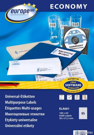 Etykiety uniwersalne ELA001 38 x 21,2 100ark. Economy Europe100 by Avery Zweckform