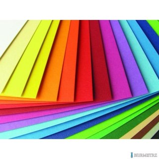 Karton foto 300g (10) 28 wrzosowy GIMAR 50*70