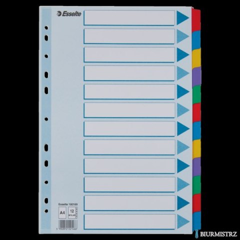 Przekładki, kolorowy karton, karta opisowa Mylar A4, Esselte, 12 kart, , 100169 Przekładki, kolorowy karton, karta opisowa Mylar A4, Esselte, 12 kart, , 100169