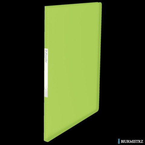 Album ofertowy VIVIDA A4 20kieszeni zielony 623994 ESSELTE Album ofertowy VIVIDA A4 20kieszeni zielony 623994 ESSELTE
