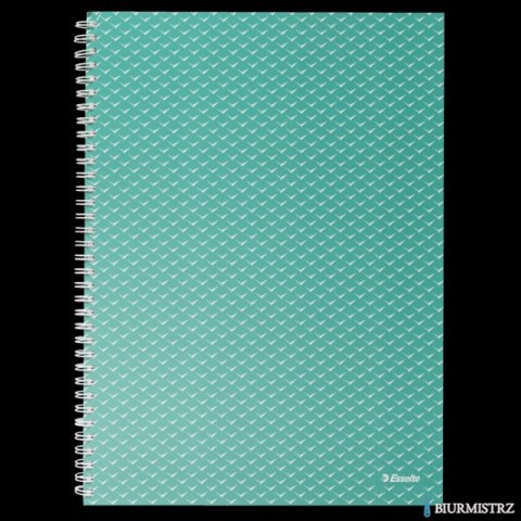 Kołonotatnik ColourBreeze A4, w kratkę, zielony Esselte 628477 Kołonotatnik ColourBreeze A4, w kratkę, zielony Esselte 628477