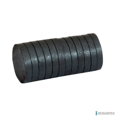 Magnesy 30mm x 4mm, bez obudowy, 12 szt GRAND 130-1788 Magnesy 30mm x 4mm, bez obudowy, 12 szt GRAND 130-1788
