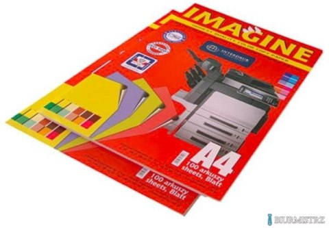 Papier xero A4 (100)5 intens.koloryx20kar. INTERDRUK *4065 Papier xero A4 (100)5 intens.koloryx20kar. INTERDRUK *4065