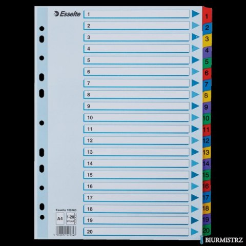Przekładki kartonowe MYLAR A4 1-20 100163 białe ESSELTE Przekładki kartonowe MYLAR A4 1-20 100163 białe ESSELTE