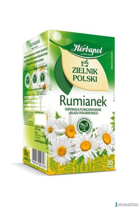 Herbata HERBAPOL ZIELNIK POLSKI Rumianek (20 torebek) Herbata HERBAPOL ZIELNIK POLSKI Rumianek (20 torebek)