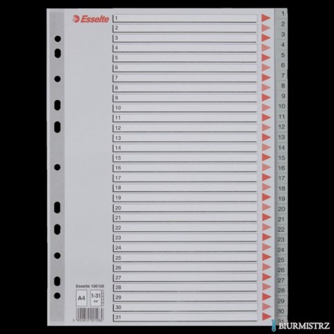 Przekładki plastikowe szare PP A4 1-31 100108 numeryczne ESSELTE Przekładki plastikowe szare PP A4 1-31 100108 numeryczne ESSELTE